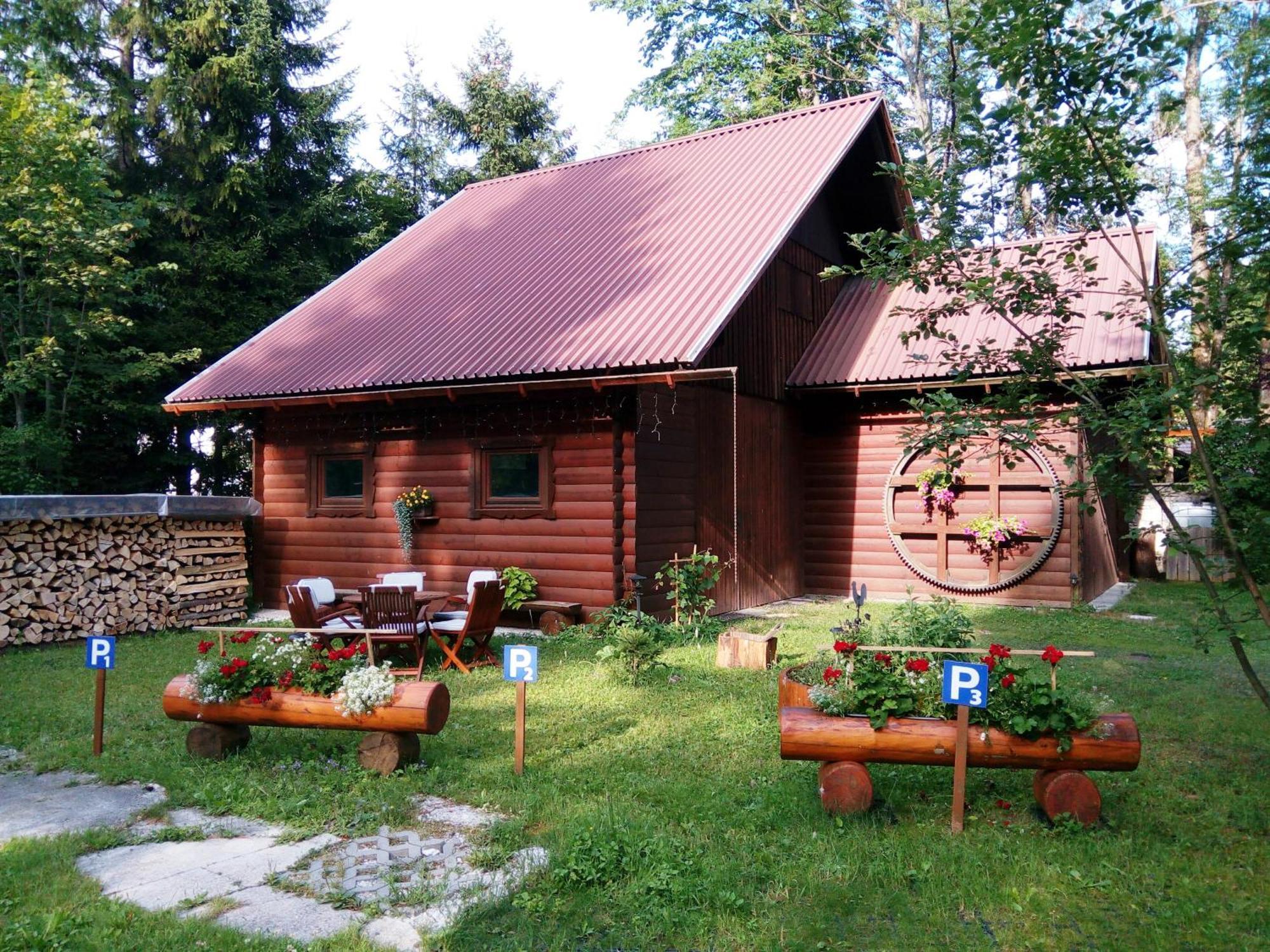 Farm Kosir Villa Kranjska Gora Exterior photo